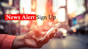 Unraveling the Impact of Digital News Alerts